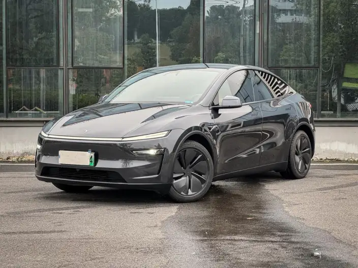 Model Y 2025 Model Rear-wheel drive version – фото 1