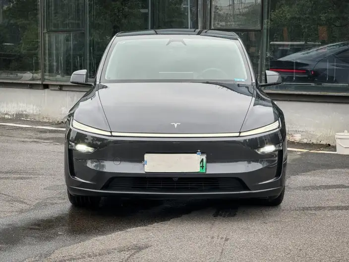 Model Y 2025 Model Rear-wheel drive version – фото 2