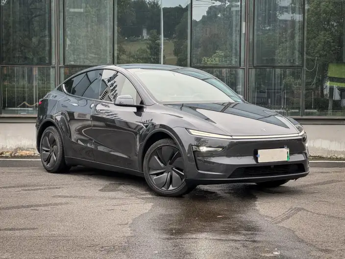 Model Y 2025 Model Rear-wheel drive version – фото 3