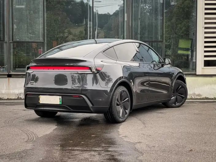 Model Y 2025 Model Rear-wheel drive version – фото 5