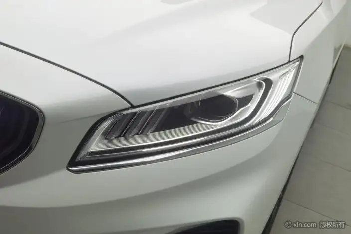 Geely Borui 2021 Model 1.8T Pilot Edition + – фото 8