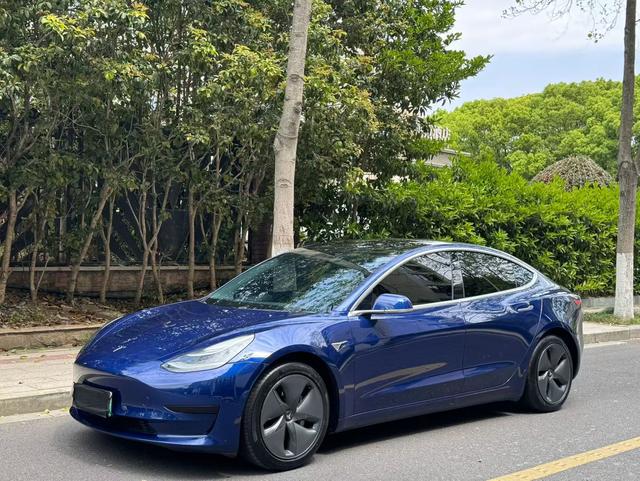 Tesla Model 3 2020 Facelift Standard Range RWD Upgrade – фото 1