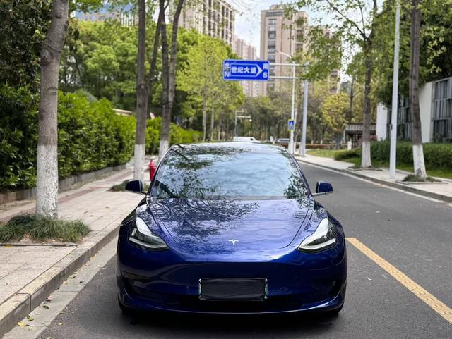 Tesla Model 3 2020 Facelift Standard Range RWD Upgrade – фото 2