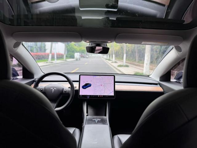 Tesla Model 3 2020 Facelift Standard Range RWD Upgrade – фото 5
