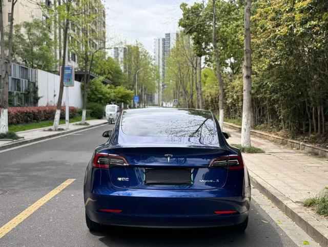 Tesla Model 3 2020 Facelift Standard Range RWD Upgrade – фото 9