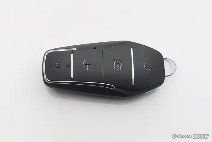 BYD Han DM 2022 Model DM-i 121KM Exclusive Model – фото 6