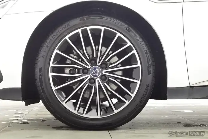 BYD Han DM 2022 Model DM-i 121KM Exclusive Model – фото 8