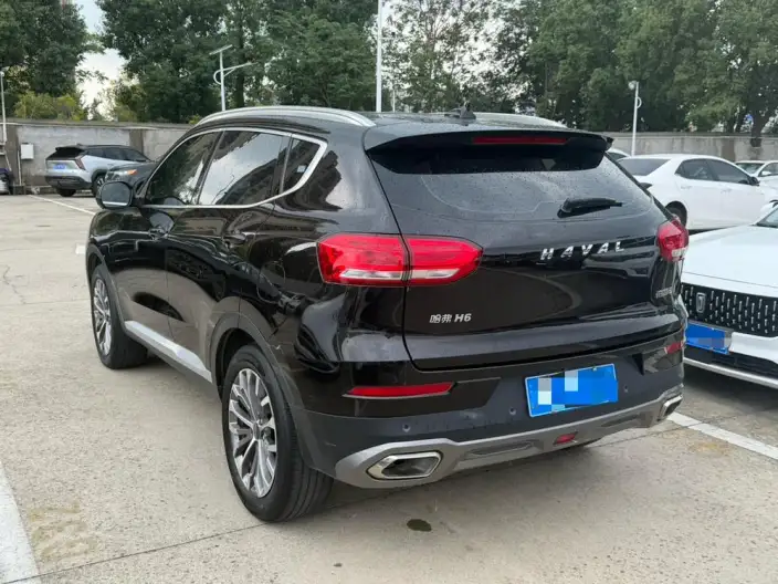 Haval H6 2020 Model 1.5GDIT Automatic Platinum Champion Edition – фото 4
