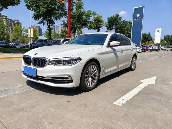BMW 5 Series 2020 Model 530Li Leading Model Luxury Set – фото 1