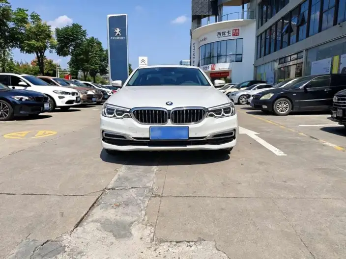 BMW 5 Series 2020 Model 530Li Leading Model Luxury Set – фото 2