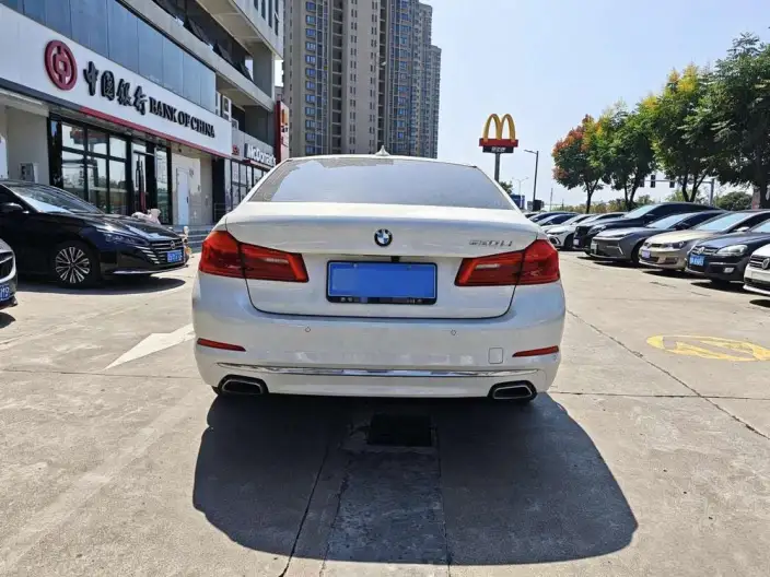 BMW 5 Series 2020 Model 530Li Leading Model Luxury Set – фото 5