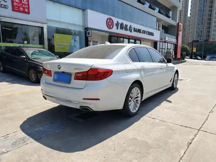 BMW 5 Series 2020 Model 530Li Leading Model Luxury Set – фото 6