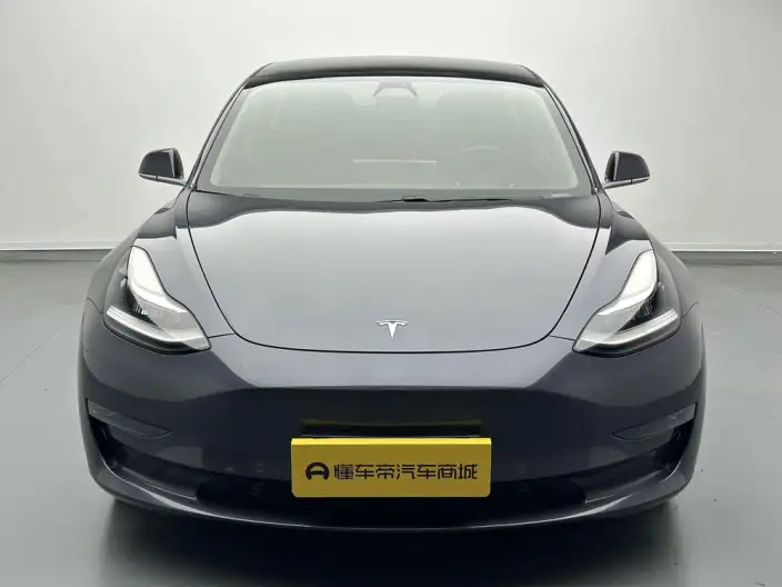 Model 3 2020 Model Facelift Long Battery Life Pro Rear-wheel drive version – фото 2