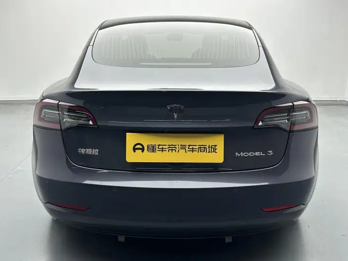 Model 3 2020 Model Facelift Long Battery Life Pro Rear-wheel drive version – фото 6