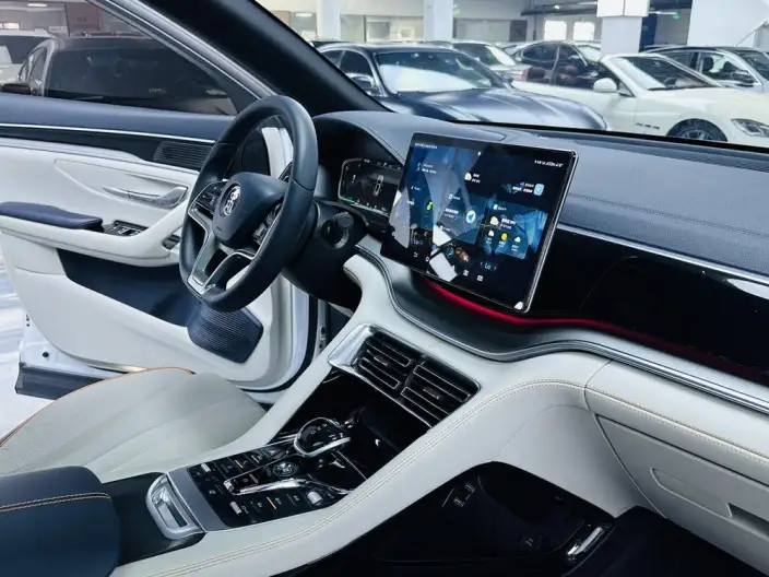 BYD Song PLUS DM 2023 Model DM-i Champion Edition 110KM Flagship PLUS – фото 9