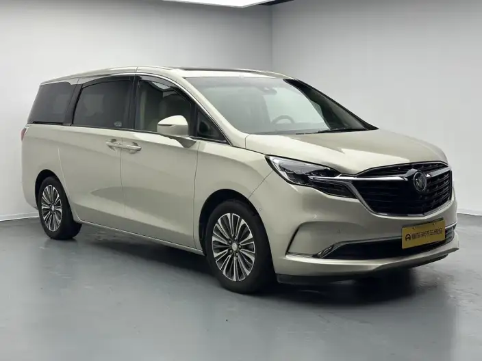 Buick GL8 2020 Model ES Luzun 653T Luxury Model – фото 3