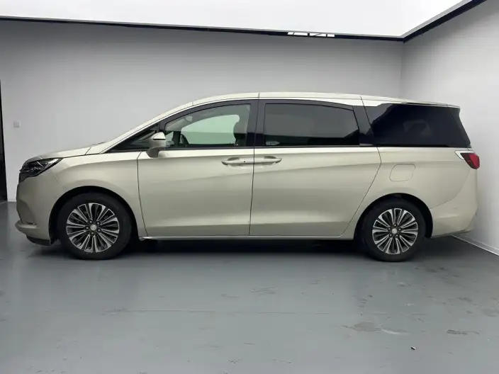 Buick GL8 2020 Model ES Luzun 653T Luxury Model – фото 4