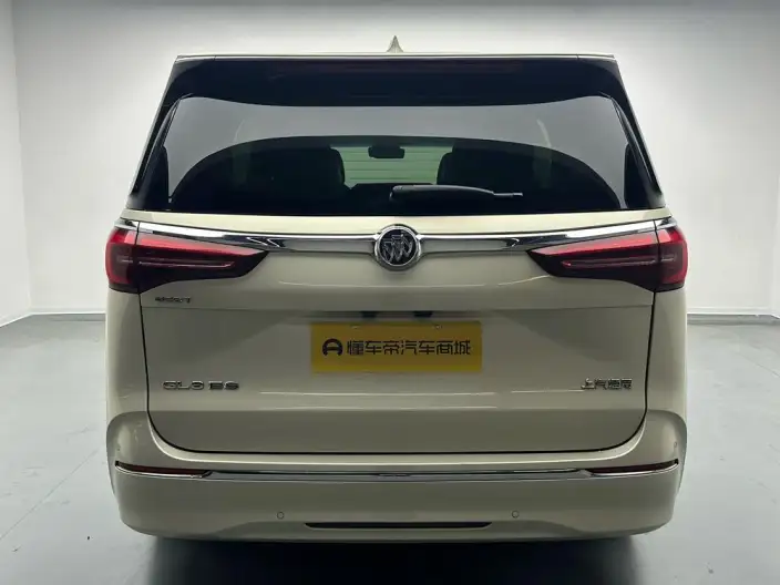 Buick GL8 2020 Model ES Luzun 653T Luxury Model – фото 6