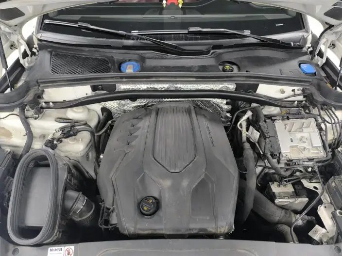 Macan 2023 Model Macan 2.0T – фото 10