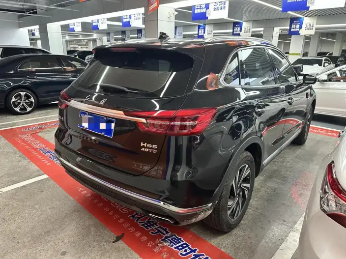 Hongqi HS5 2022 Model 2.0T Smart Flag Enjoy 4WD Edition – фото 6