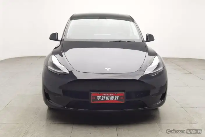 Model Y 2022 Model Rear-wheel drive version – фото 1