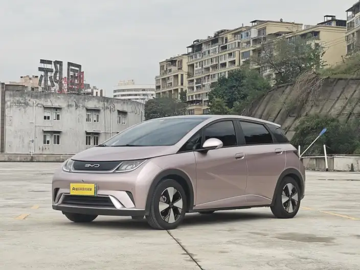BYD Dolphin 2023 Model Fashion Edition – фото 1