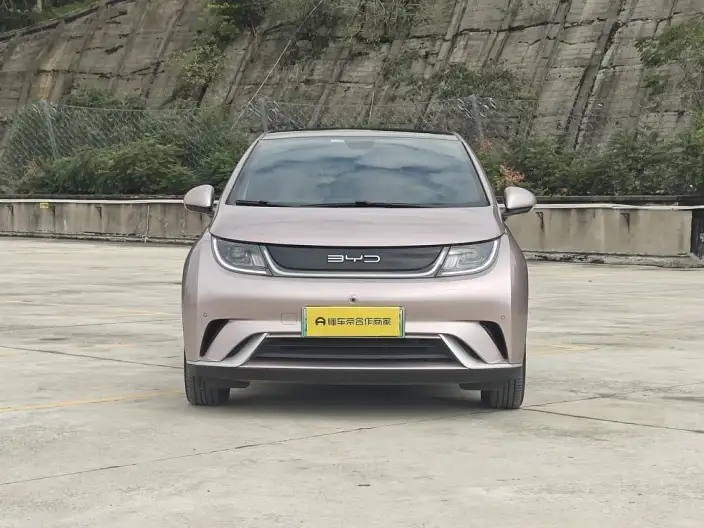 BYD Dolphin 2023 Model Fashion Edition – фото 2