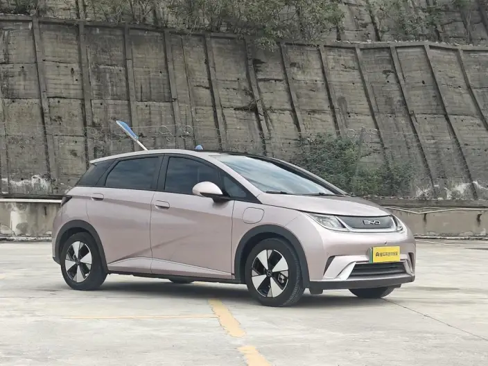 BYD Dolphin 2023 Model Fashion Edition – фото 3