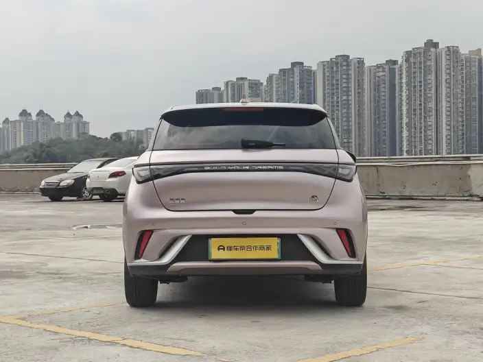 BYD Dolphin 2023 Model Fashion Edition – фото 6