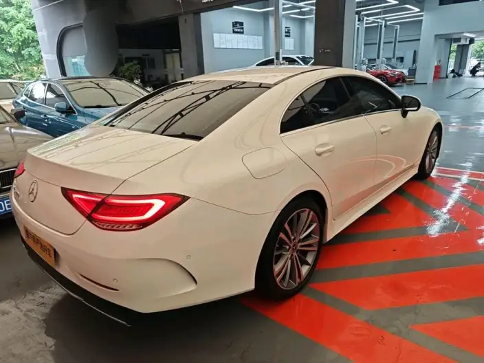 Mercedes-Benz CLS 2020 Model CLS 300 Dynamic Model – фото 4