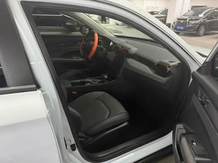 Yixuan 2024 Model 1.5L Automatic Speed Edition