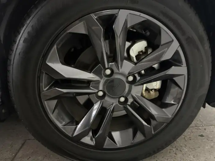 Yixuan 2024 Model 1.5L Automatic Speed Edition – фото 5
