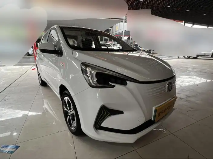 Changan Benben E-Star 2020 Model Heart Edition Ternary lithium – фото 2