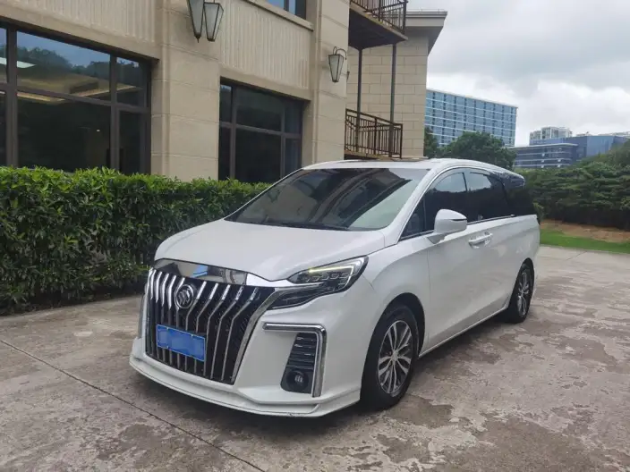 Buick GL8 2020 Model ES Luzun 653T Luxury Model – фото 1