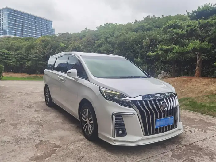 Buick GL8 2020 Model ES Luzun 653T Luxury Model – фото 3