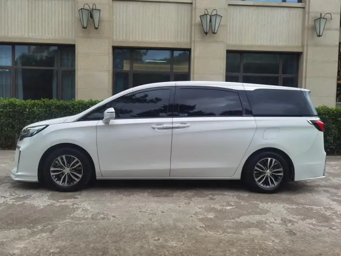 Buick GL8 2020 Model ES Luzun 653T Luxury Model – фото 4