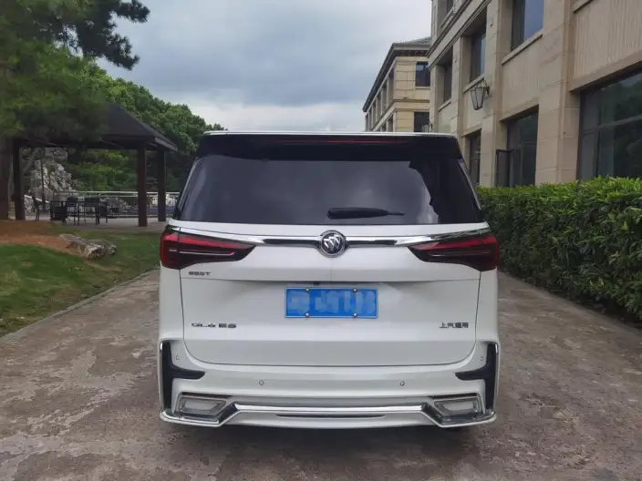 Buick GL8 2020 Model ES Luzun 653T Luxury Model – фото 6