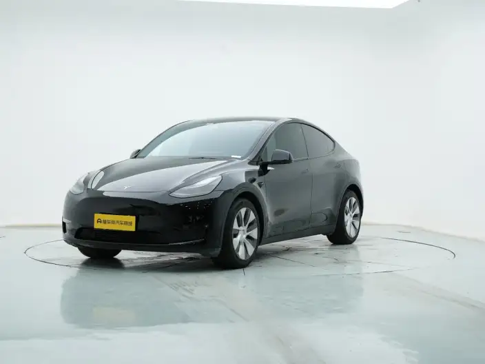 Model Y 2021 Model Standard Battery Life Rear-wheel drive version – фото 1