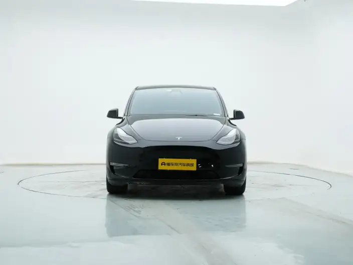 Model Y 2021 Model Standard Battery Life Rear-wheel drive version – фото 2