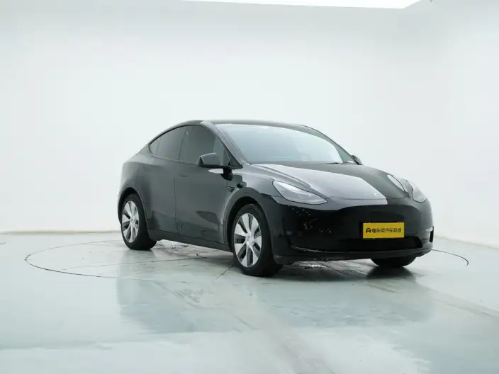 Model Y 2021 Model Standard Battery Life Rear-wheel drive version – фото 3