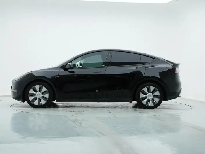 Model Y 2021 Model Standard Battery Life Rear-wheel drive version – фото 4