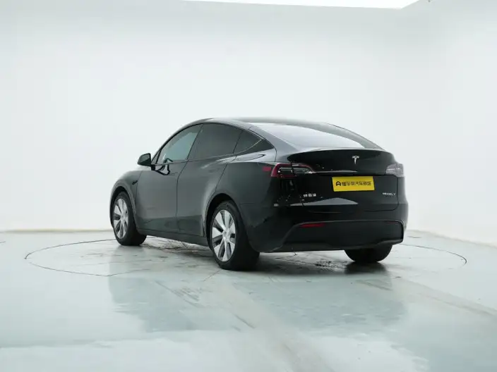 Model Y 2021 Model Standard Battery Life Rear-wheel drive version – фото 5