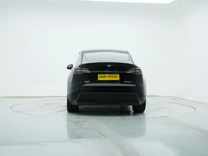 Model Y 2021 Model Standard Battery Life Rear-wheel drive version – фото 6