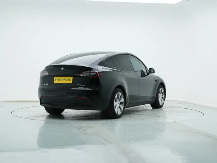Model Y 2021 Model Standard Battery Life Rear-wheel drive version – фото 7