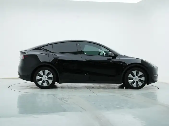 Model Y 2021 Model Standard Battery Life Rear-wheel drive version – фото 8