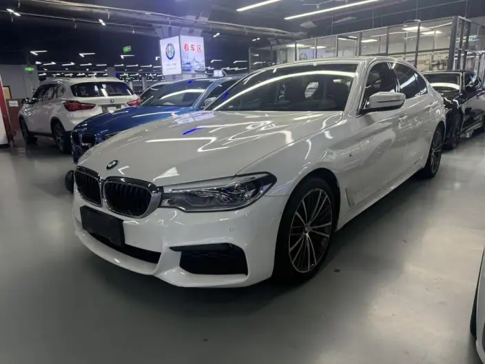BMW 5 Series 2020 Model 530Li Exclusive Model M Sports Set – фото 1