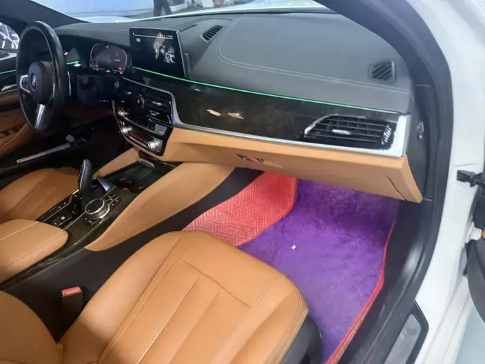 BMW 5 Series 2020 Model 530Li Exclusive Model M Sports Set – фото 2