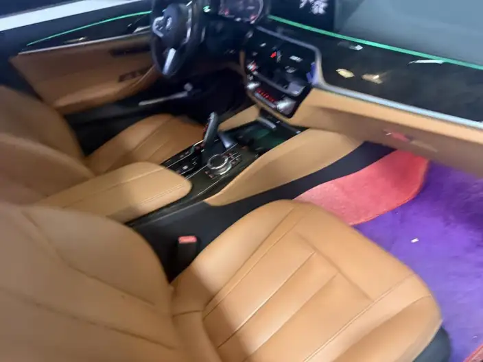 BMW 5 Series 2020 Model 530Li Exclusive Model M Sports Set – фото 6