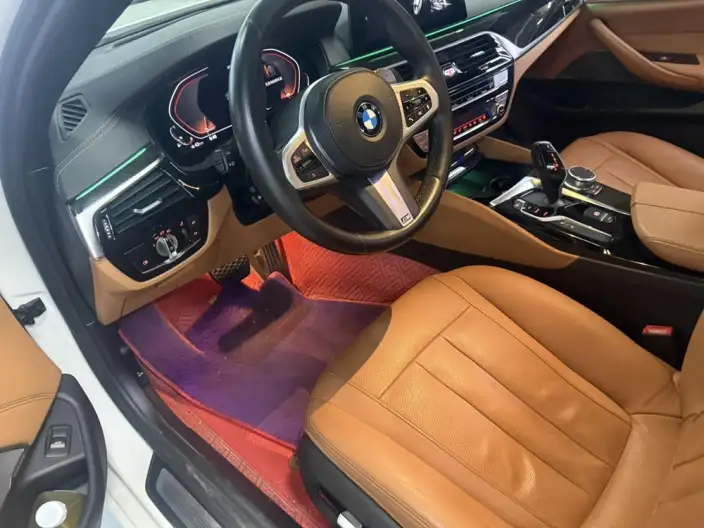 BMW 5 Series 2020 Model 530Li Exclusive Model M Sports Set – фото 8