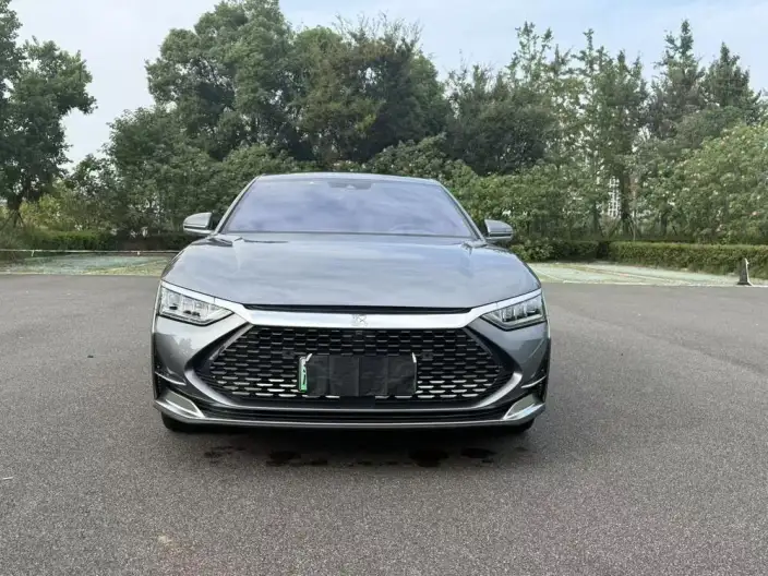 BYD Han DM 2020 Model DM 4WD performance version Luxury Model – фото 2